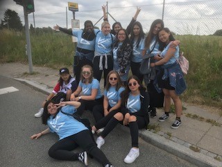 Studietur til Danmark juni 2019 Studietur til Danmark juni 2019